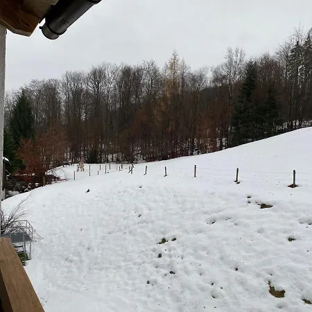 Sonnenblick Apartment