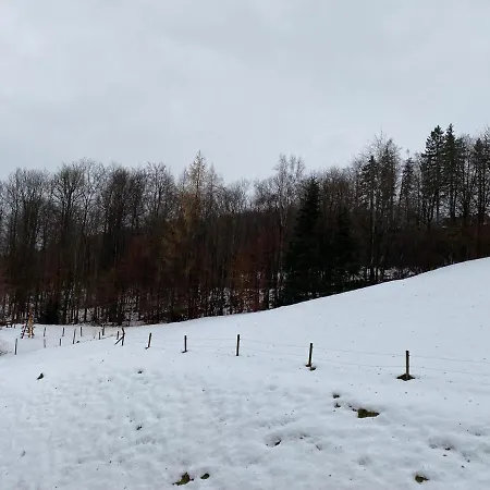 Sonnenblick Apartment Bad Tolz